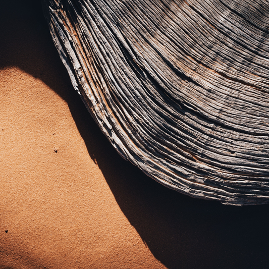 A close-up texture shot of a weathered gray wood ring with deep, sharp grain lines resting on fine, sun-baked terracotta sand with dramatic long shadows.