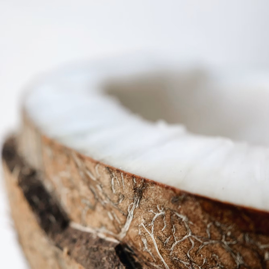 An ultra-macro close-up shot showing the rough, fibrous brown texture of a coconut husk curving naturally against smooth, solid white coconut meat with a soft blurred background.