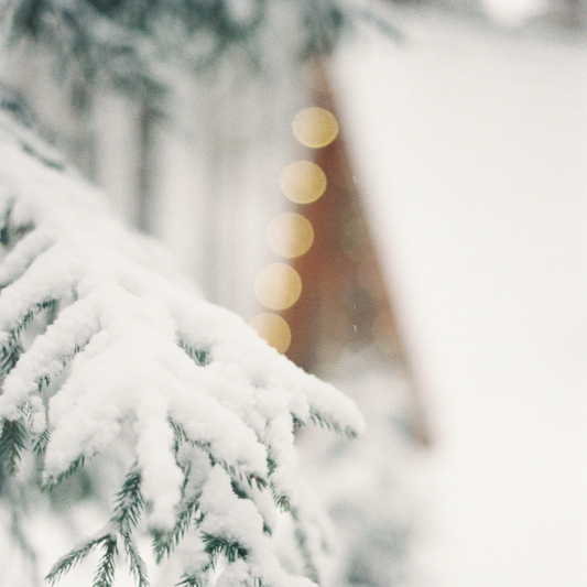 Winter Reigns