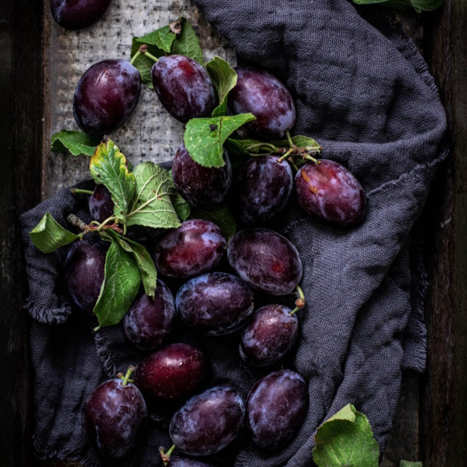 Close-up of purple plums and green vines with leaves on a dark fabric background for Embervine candle inspiration